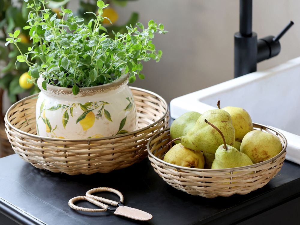 Pottery - Limone planters, vases and bottles - CHIC ANTIQUE A/S