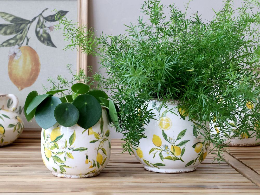 Pottery - Limone planters, vases and bottles - CHIC ANTIQUE A/S