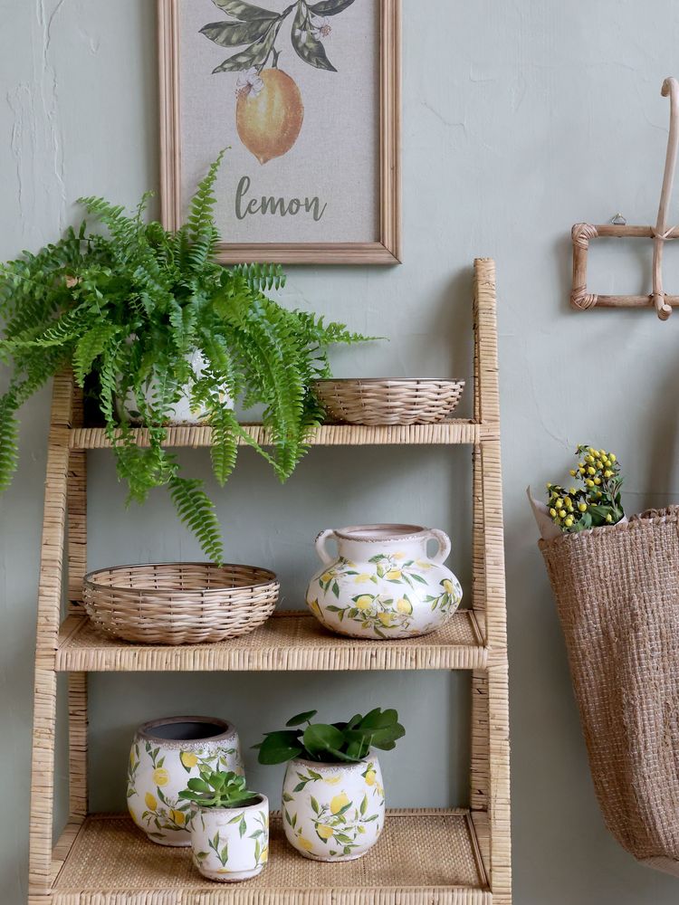 Pottery - Limone planters, vases and bottles - CHIC ANTIQUE A/S