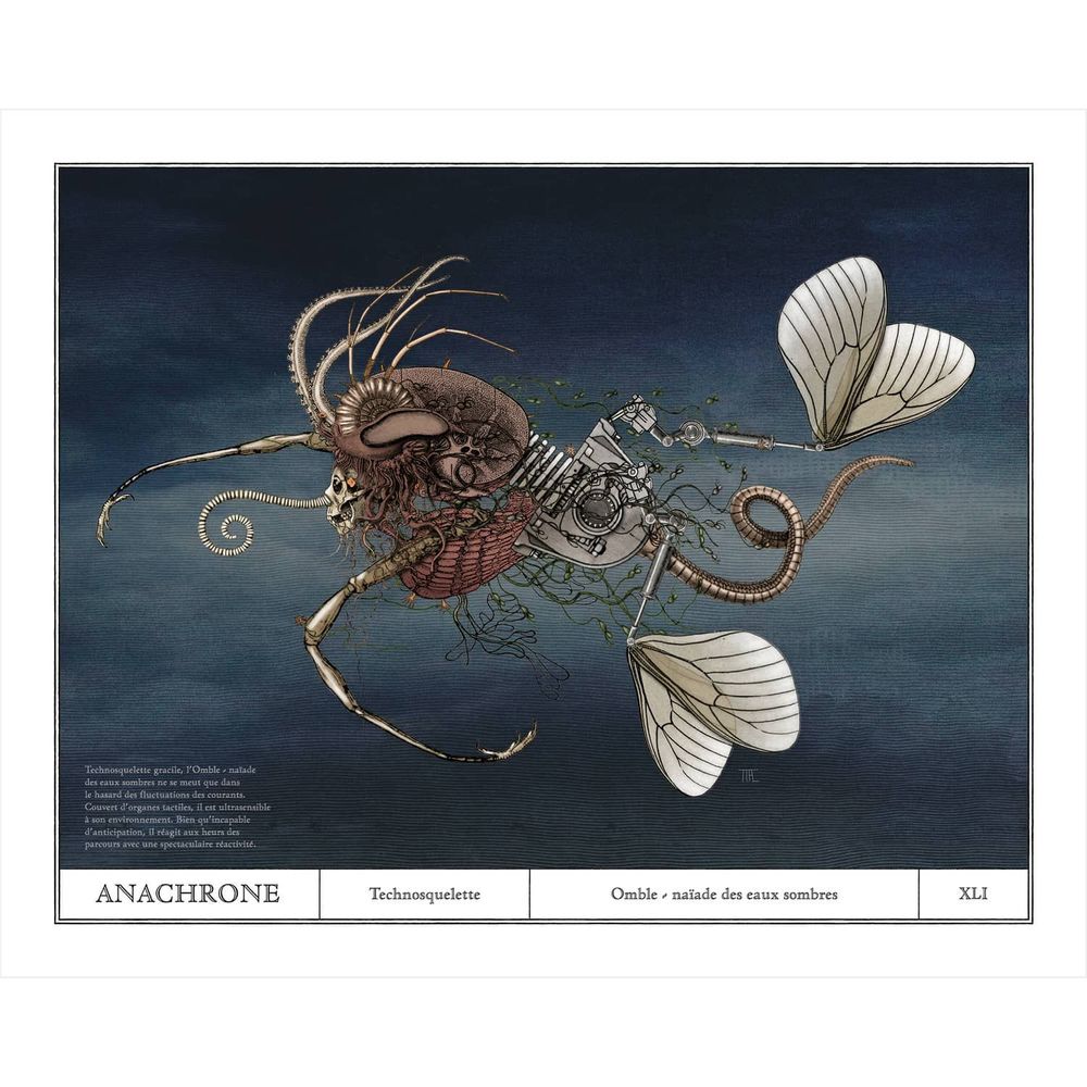 Affiches - Affiche d'art - Naïde des eaux sombres - ANACHRONES