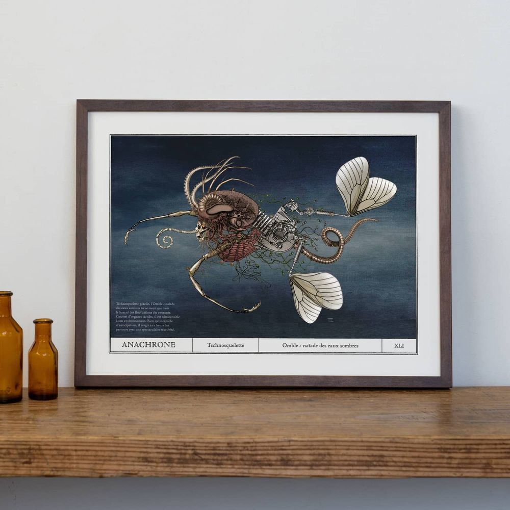 Affiches - Affiche d'art - Naïde des eaux sombres - ANACHRONES