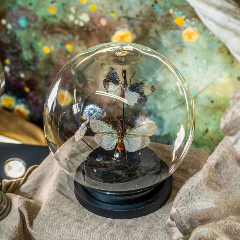 Sculptures, statuettes and miniatures - FAIRY CURIOSITIES - ATELIERS C&S DAVOY