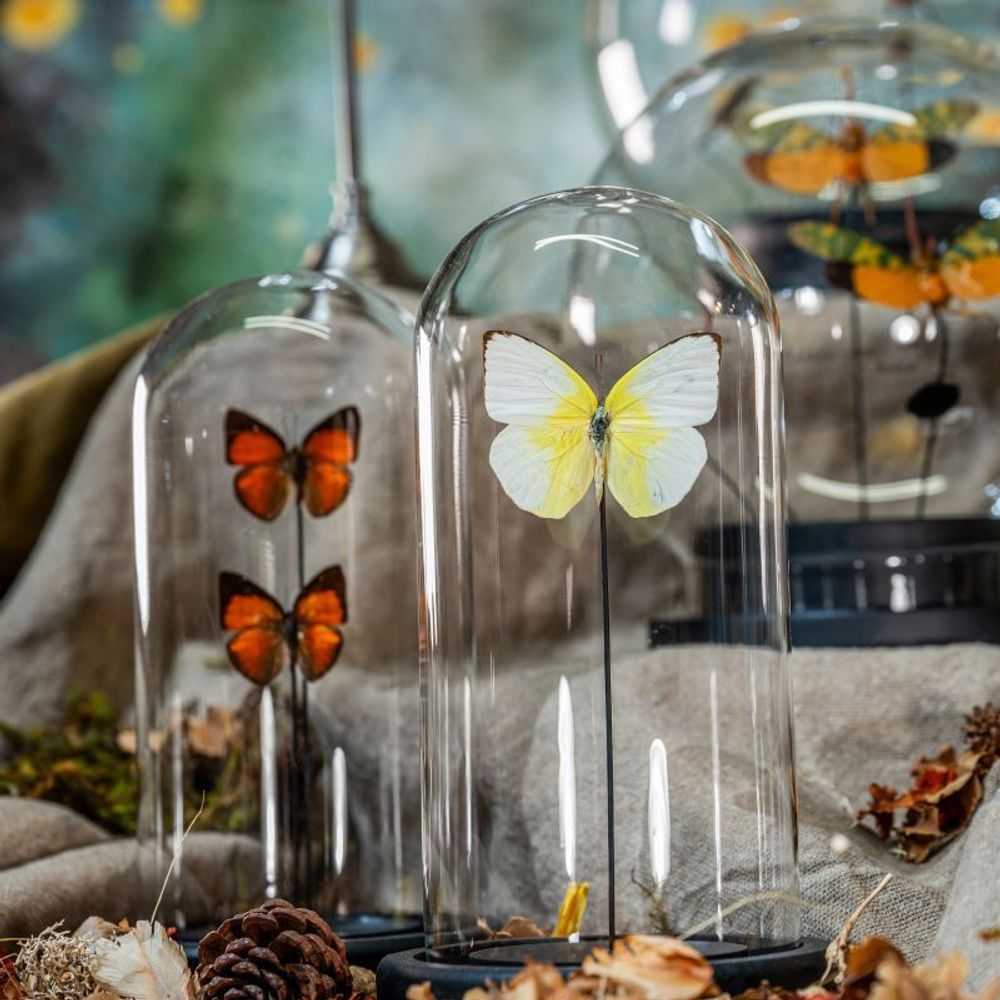 Sculptures, statuettes and miniatures - FAIRY CURIOSITIES - ATELIERS C&S DAVOY