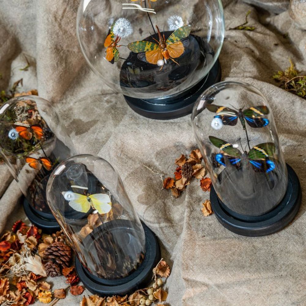 Sculptures, statuettes and miniatures - FAIRY CURIOSITIES - ATELIERS C&S DAVOY
