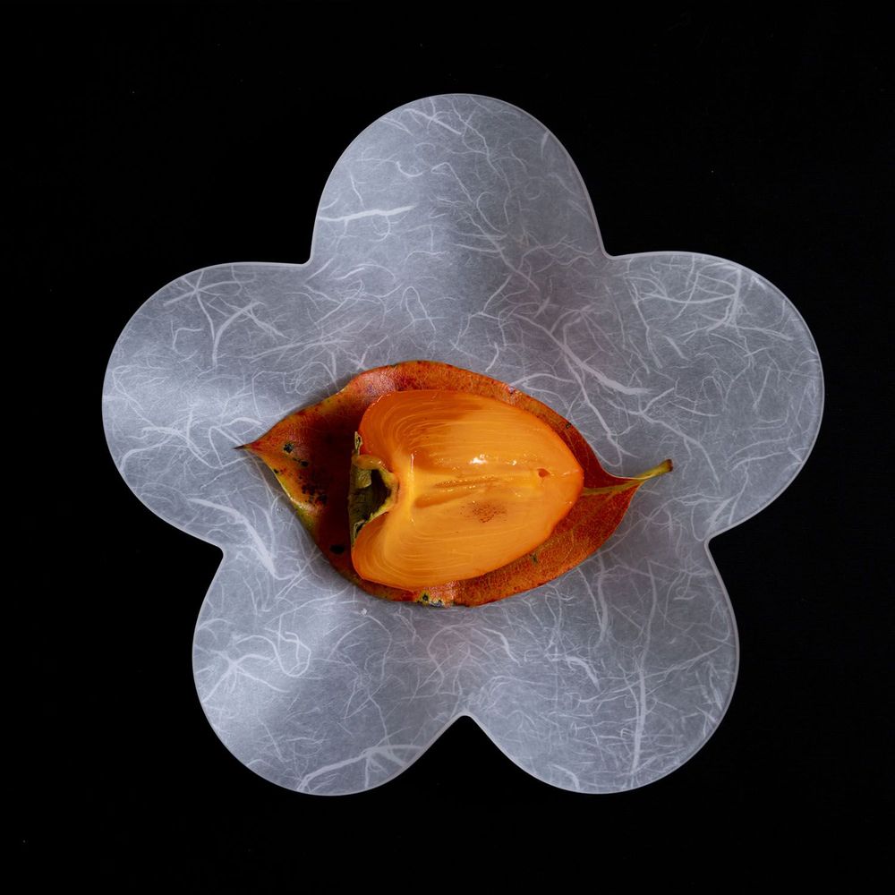 Formal plates - Utsuwa SAKURA - NJ STYLE