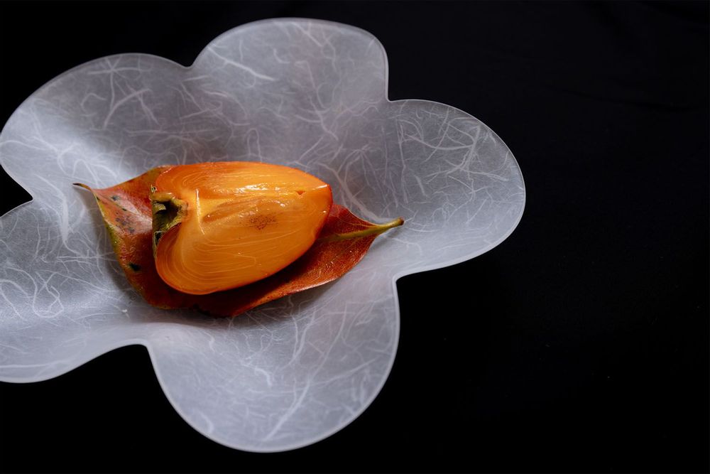 Formal plates - Utsuwa SAKURA - NJ STYLE