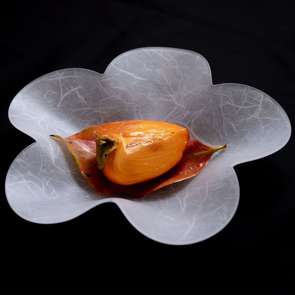 Formal plates - Utsuwa SAKURA - NJ STYLE