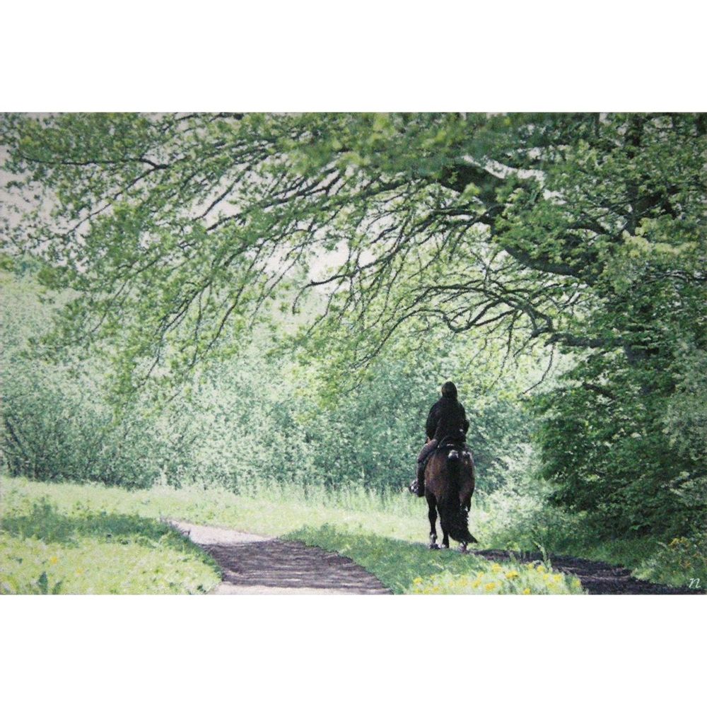 Tapisseries - Tapisserie - NEO TAPIS