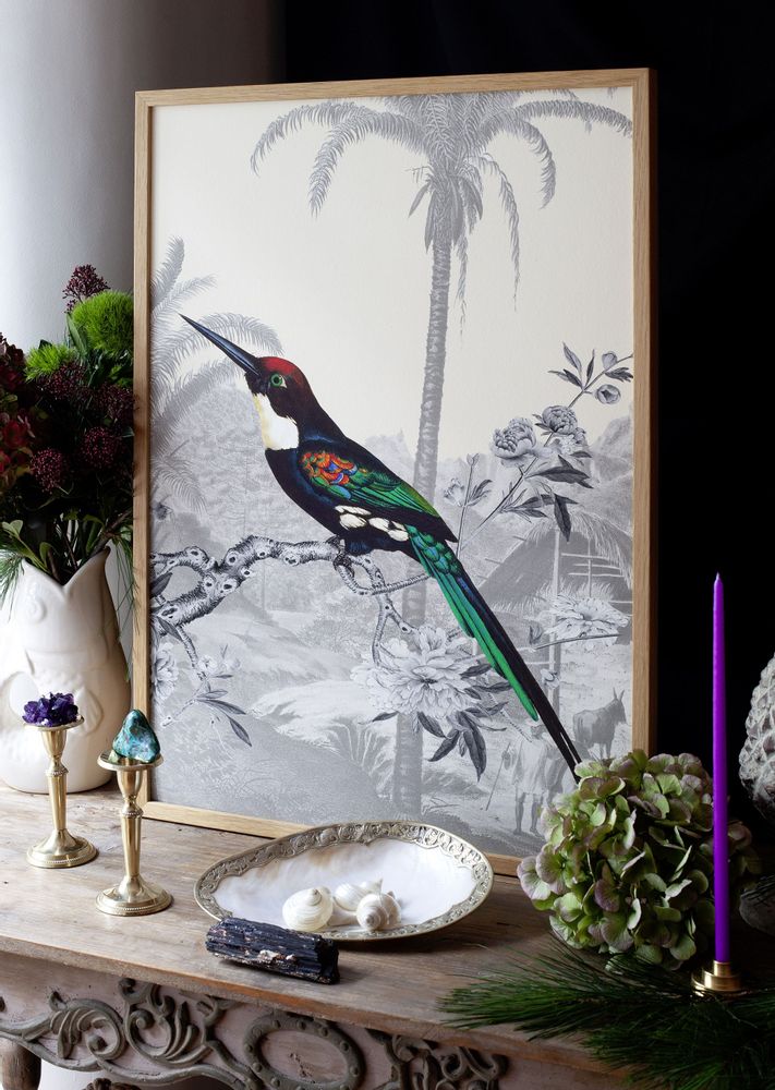 Office design and planning - Emerald Jacamar illustration - PARADISIO IMAGINARIUM