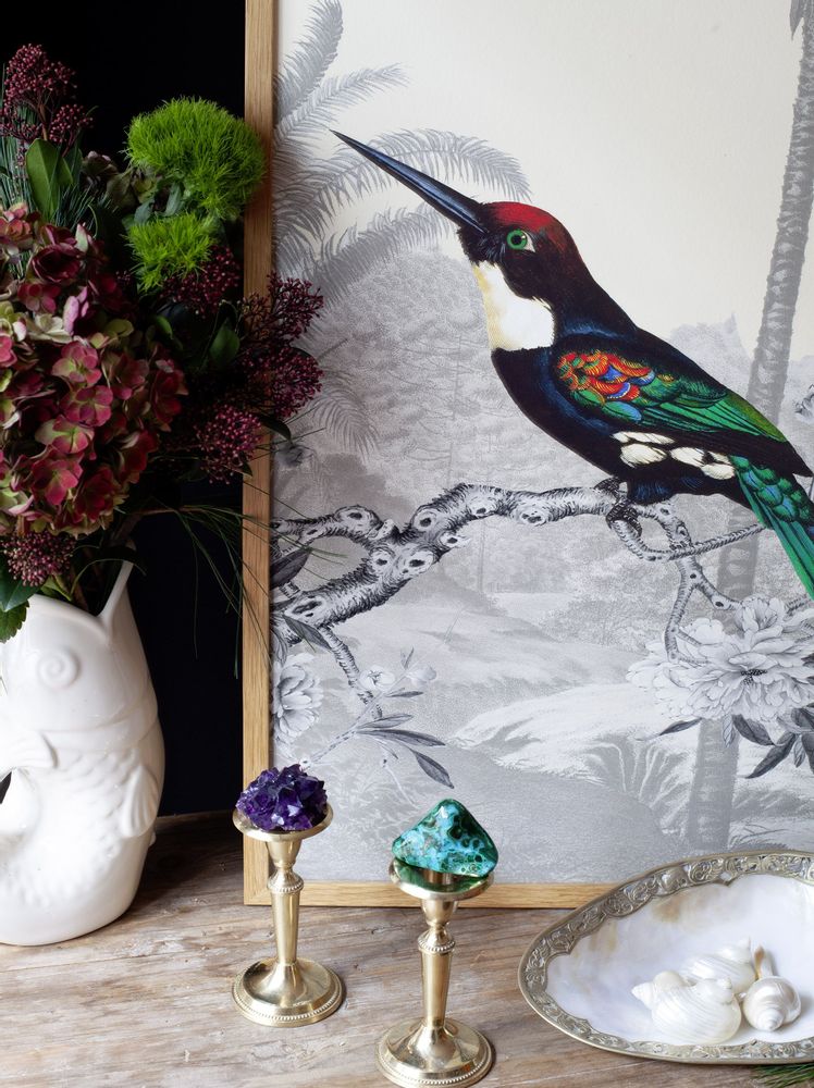 Office design and planning - Emerald Jacamar illustration - PARADISIO IMAGINARIUM