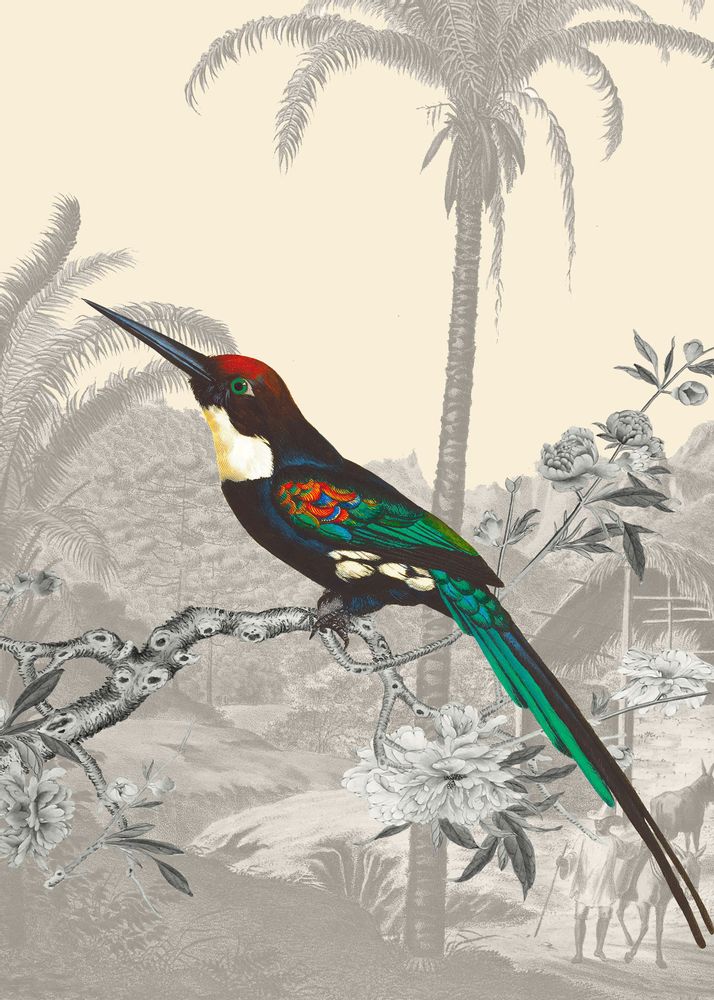 Office design and planning - Emerald Jacamar illustration - PARADISIO IMAGINARIUM