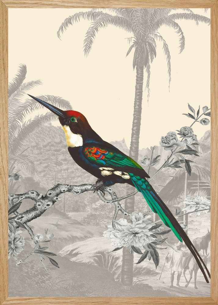 Office design and planning - Emerald Jacamar illustration - PARADISIO IMAGINARIUM