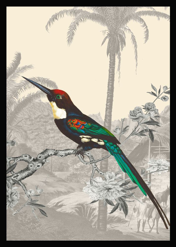 Office design and planning - Emerald Jacamar illustration - PARADISIO IMAGINARIUM