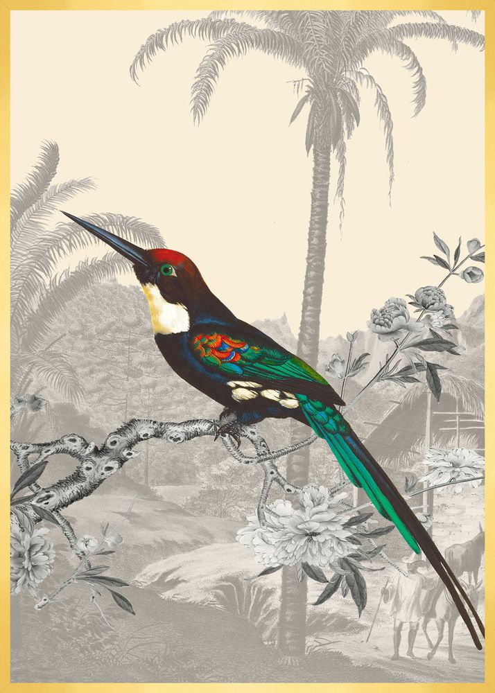 Office design and planning - Emerald Jacamar illustration - PARADISIO IMAGINARIUM