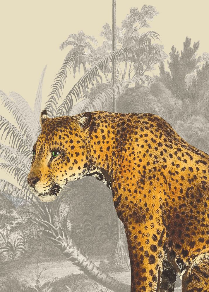Other wall decoration - Wall art : leopard - PARADISIO IMAGINARIUM