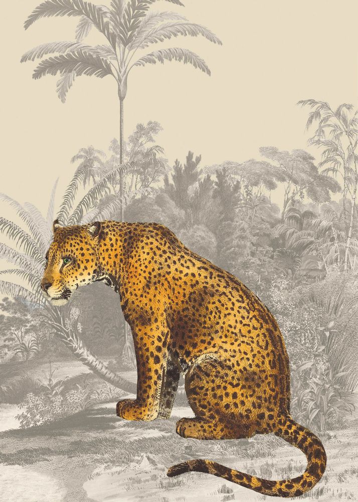 Other wall decoration - Wall art : leopard - PARADISIO IMAGINARIUM