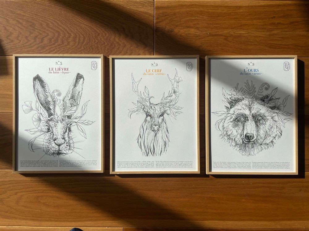 Poster - DEER TOTEM animal poster - TOTEM NATURE - ENCENS ET FUMIGATION