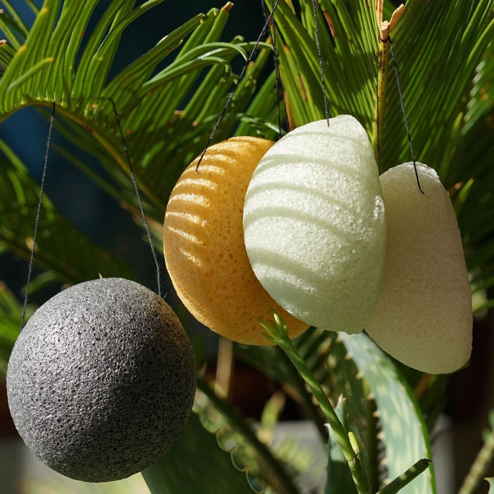 Cosmétiques - EPONGES KONJAC BIOLOGIQUE ENRICHIE AU CHARBON DE BAMBOU - KARAWAN AUTHENTIC