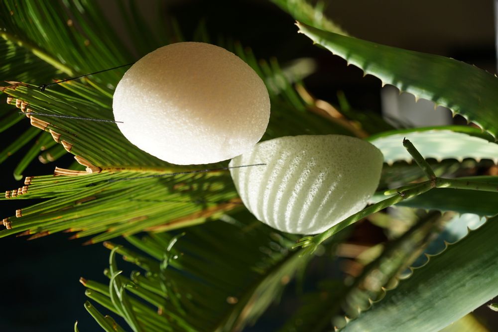 Cosmétiques - EPONGES KONJAC BIOLOGIQUE ENRICHIE À L'ALOE VERA - KARAWAN AUTHENTIC