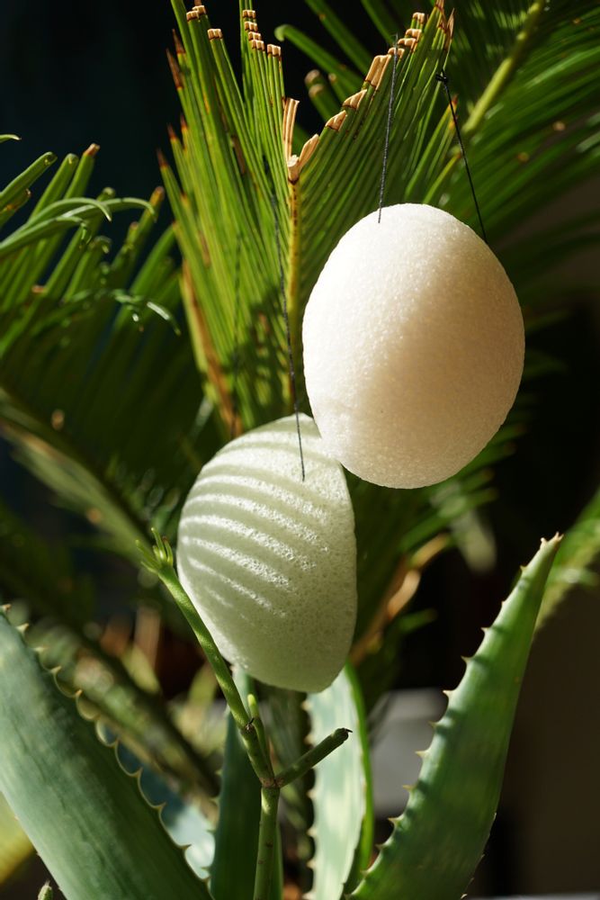 Beauty products - ORGANIC KONJAC SPONGE ENRICHED WITH ALOE VERA - IN BULK - KARAWAN AUTHENTIC