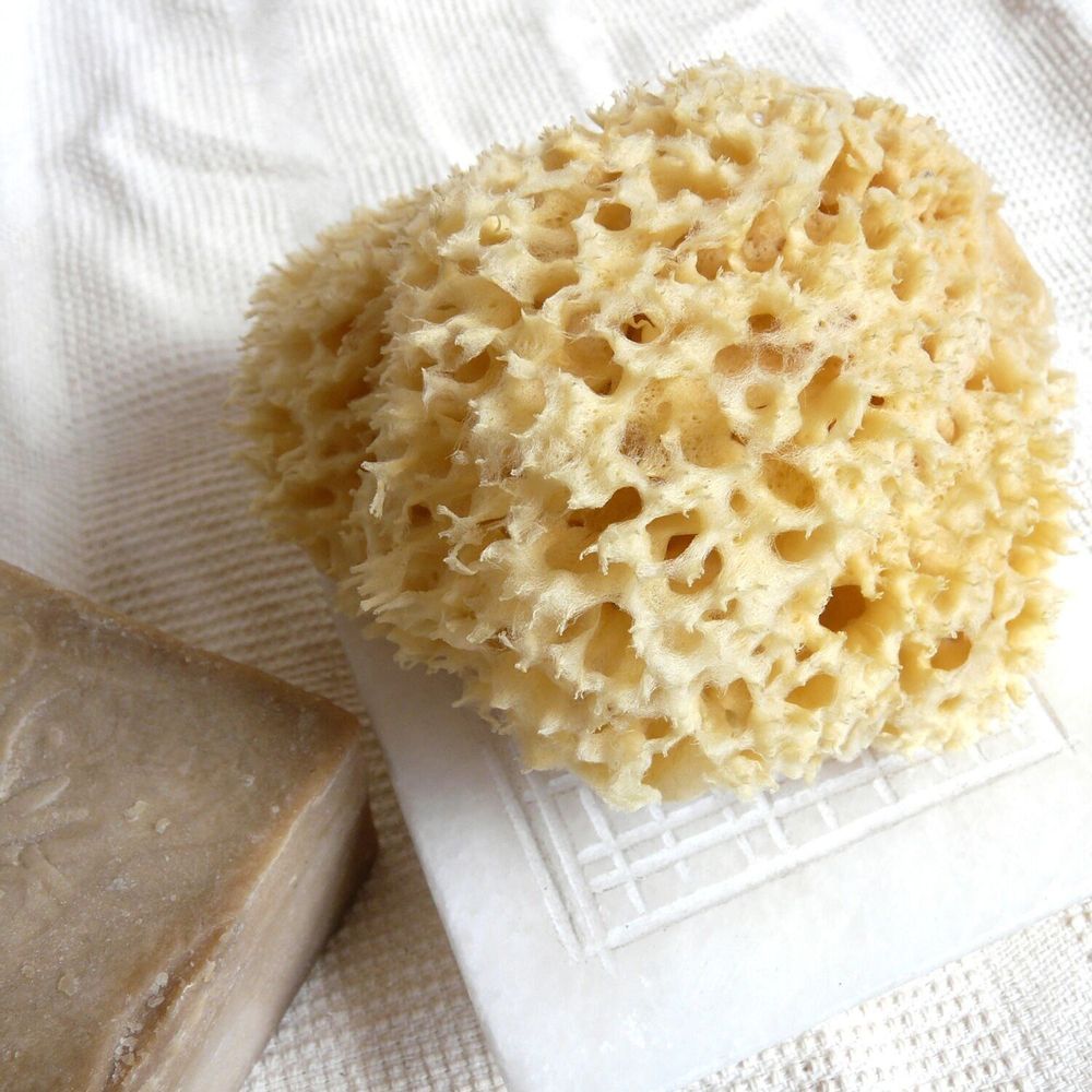 Beauty products - NATURAL SEA SPONGE - KARAWAN AUTHENTIC