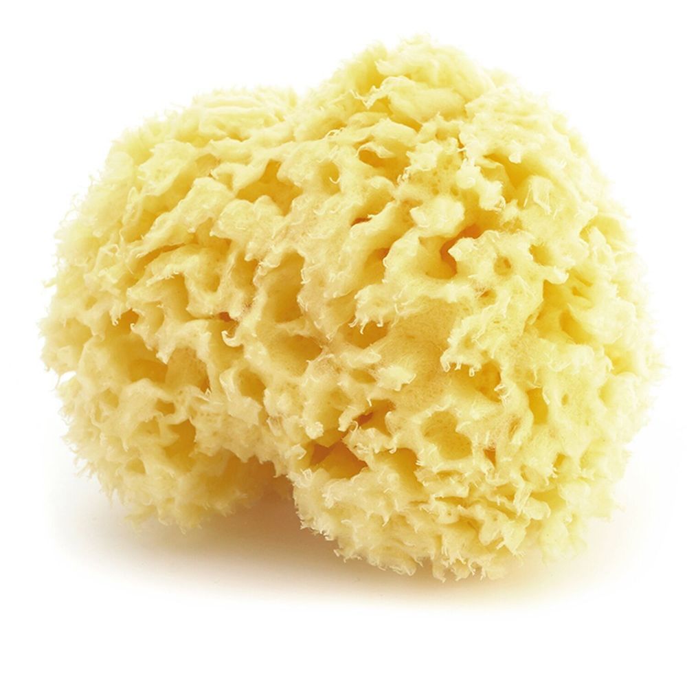 Beauty products - NATURAL SEA SPONGE - KARAWAN AUTHENTIC