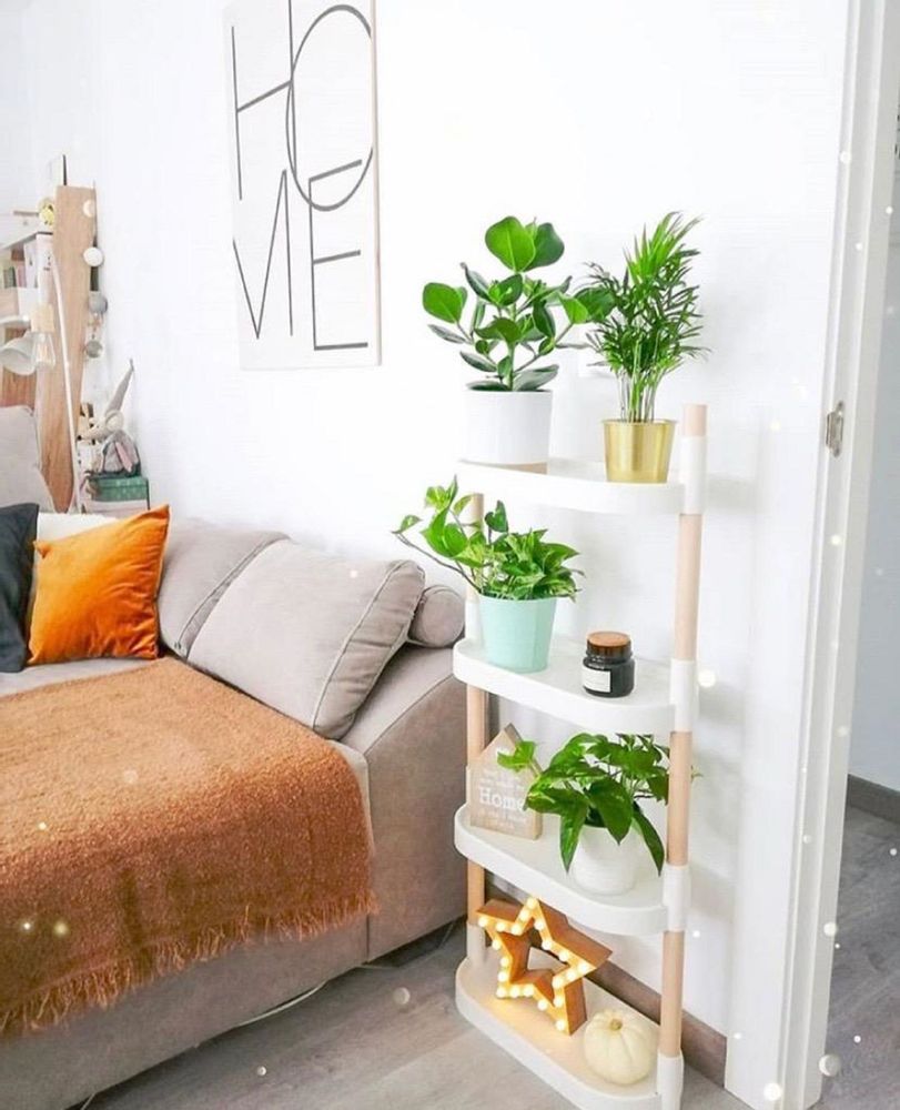 Floral decoration - Modular Plant Shelves - CITYSENS