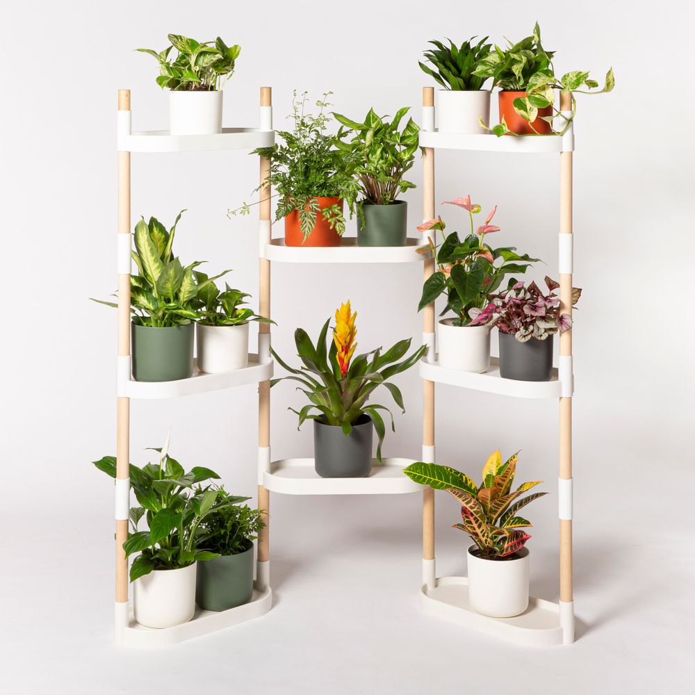 Floral decoration - Modular Plant Shelves - CITYSENS