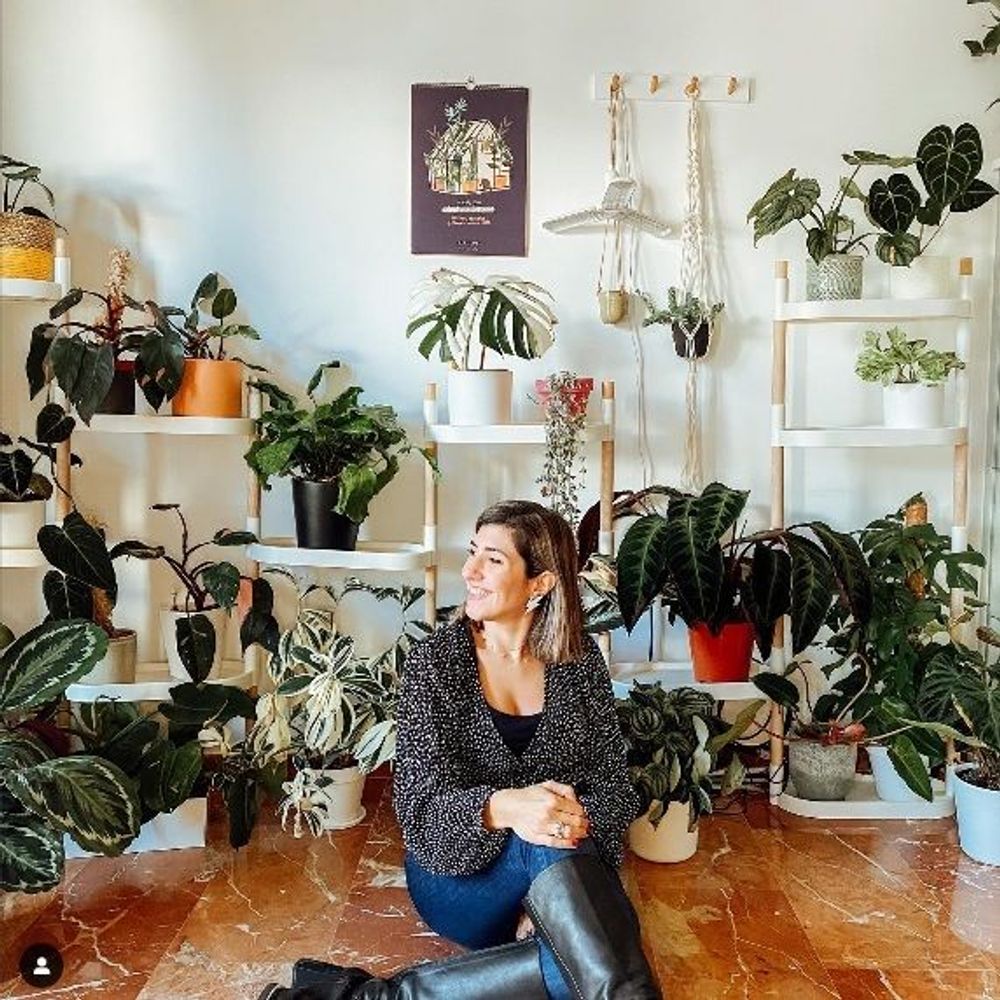 Floral decoration - Modular Plant Shelves - CITYSENS