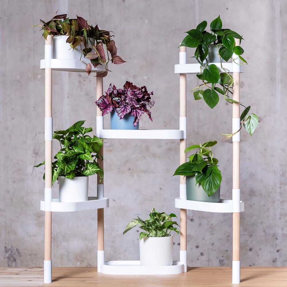Floral decoration - Modular Plant Shelves - CITYSENS