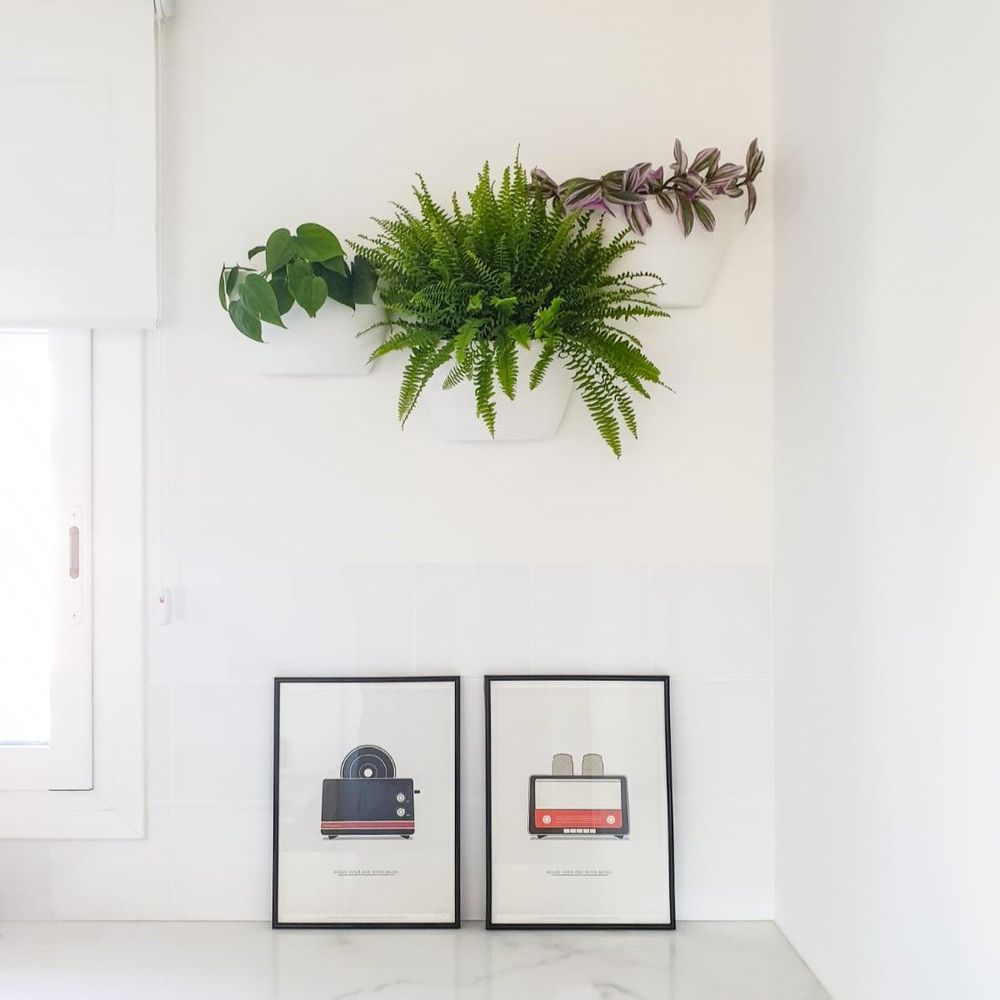 Vases - Wall Planters - CITYSENS