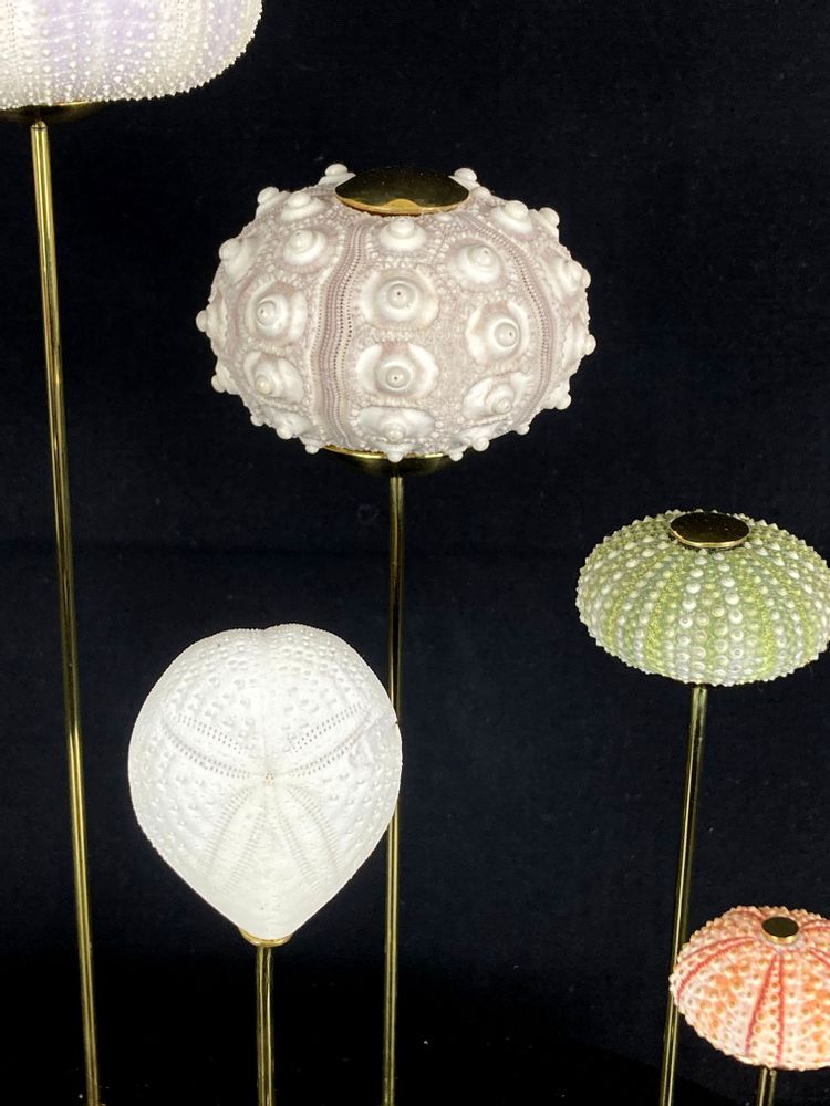 Decorative objects - Luminous sea urchins - LA THANATOTHÈQUE