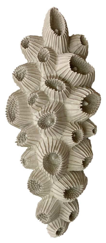 Unique pieces - ZOA and ZOALONG - VERO REATO - ORGANIC MINERAL