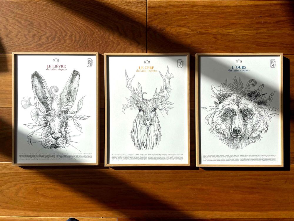 Affiches - AFFICHE animal TOTEM du LIEVRE - TOTEM NATURE - ENCENS ET FUMIGATION