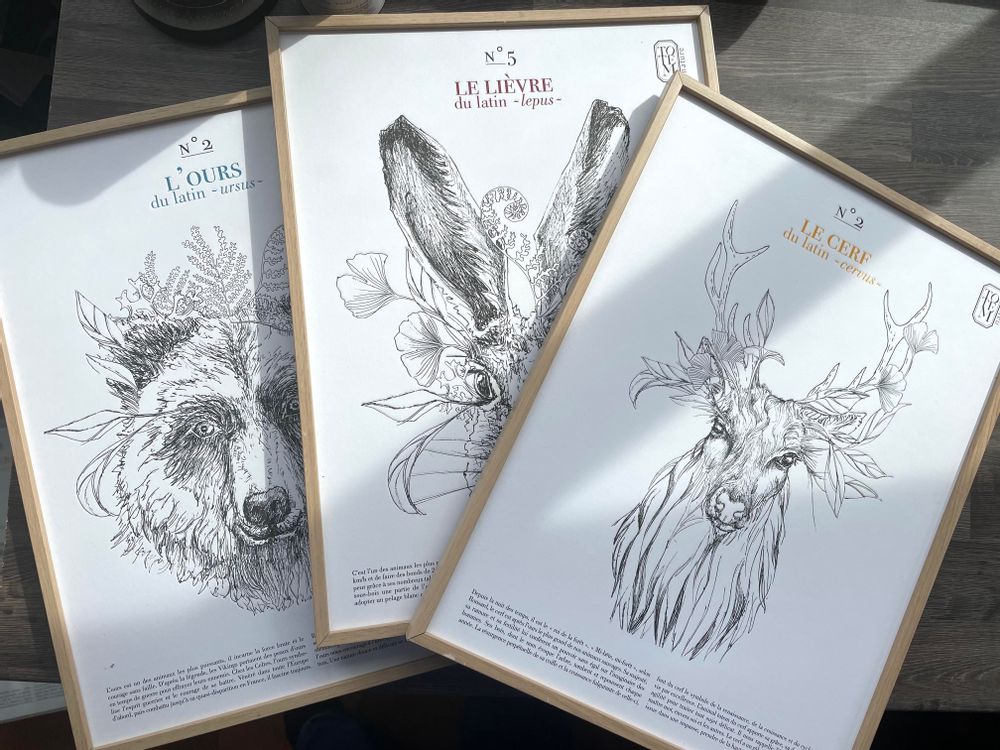 Affiches - Affiche animal TOTEM OURS - TOTEM NATURE - ENCENS ET FUMIGATION