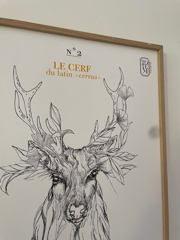 Poster - DEER TOTEM animal poster - TOTEM NATURE - ENCENS ET FUMIGATION