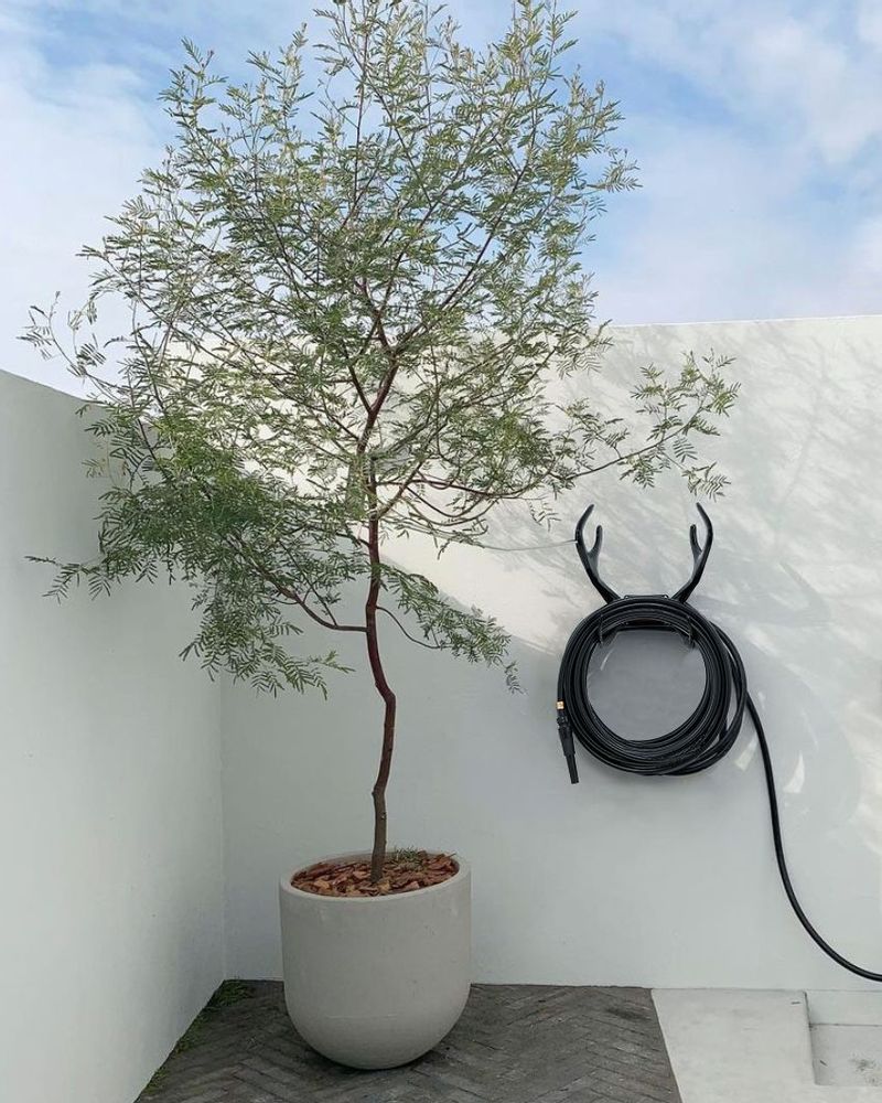 Garden accessories - Garden Glory Garden Hose - GARDEN GLORY