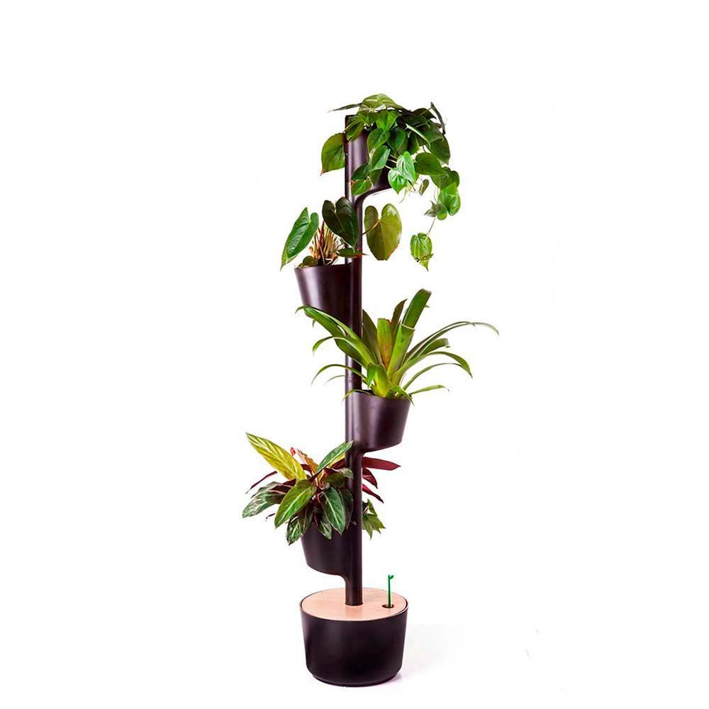 Mobilier et rangements pour bureau - Jardinière verticale pour 4 plantes - CITYSENS