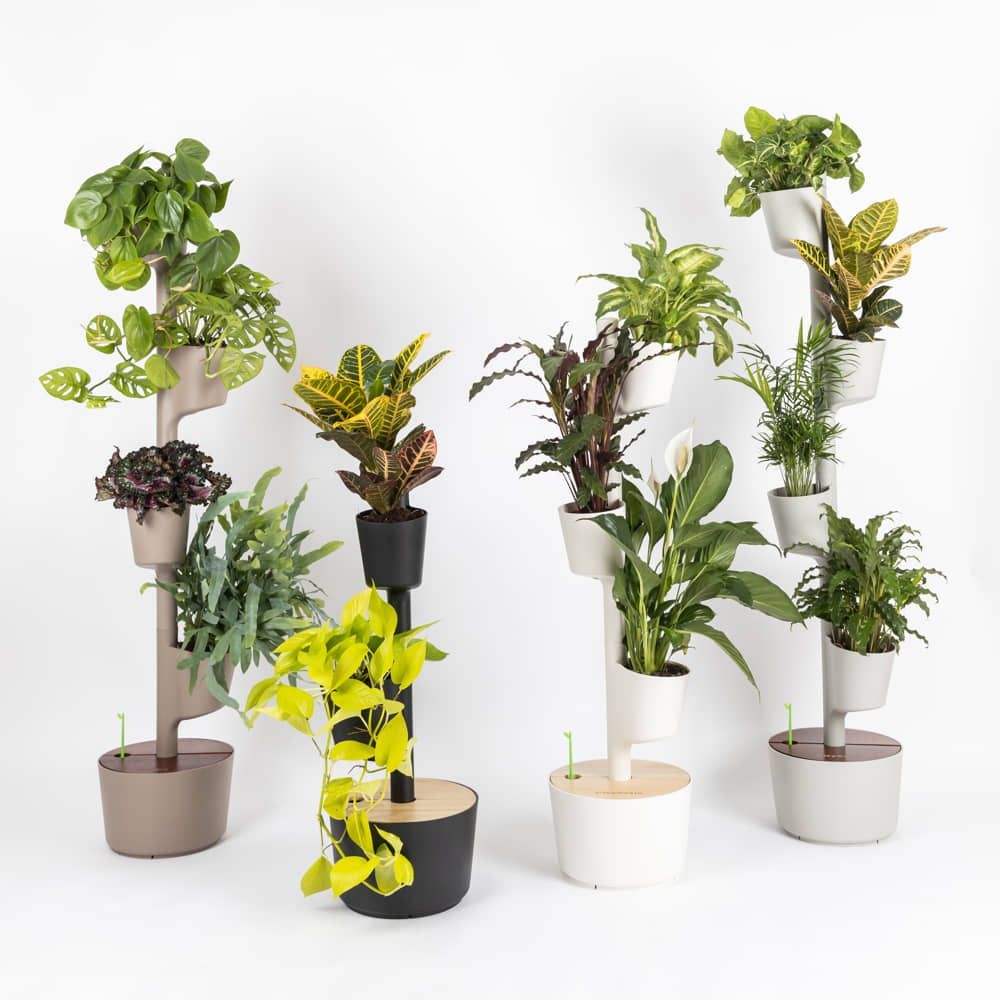 Mobilier et rangements pour bureau - Jardinière verticale pour 4 plantes - CITYSENS