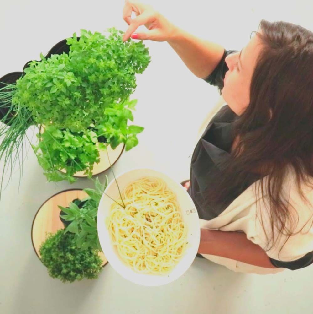 Kitchens furniture - CitySens Vertical indoor kitchen garden - CITYSENS