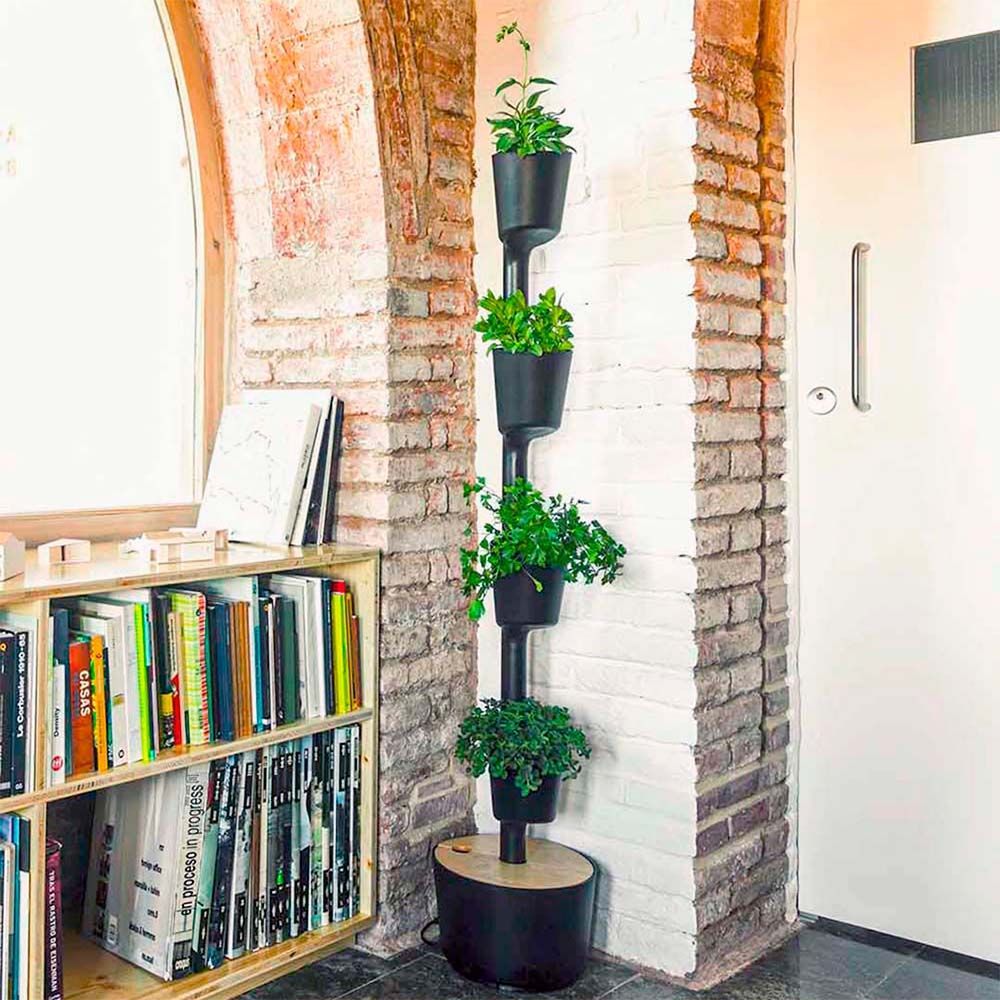Kitchens furniture - CitySens Vertical indoor kitchen garden - CITYSENS