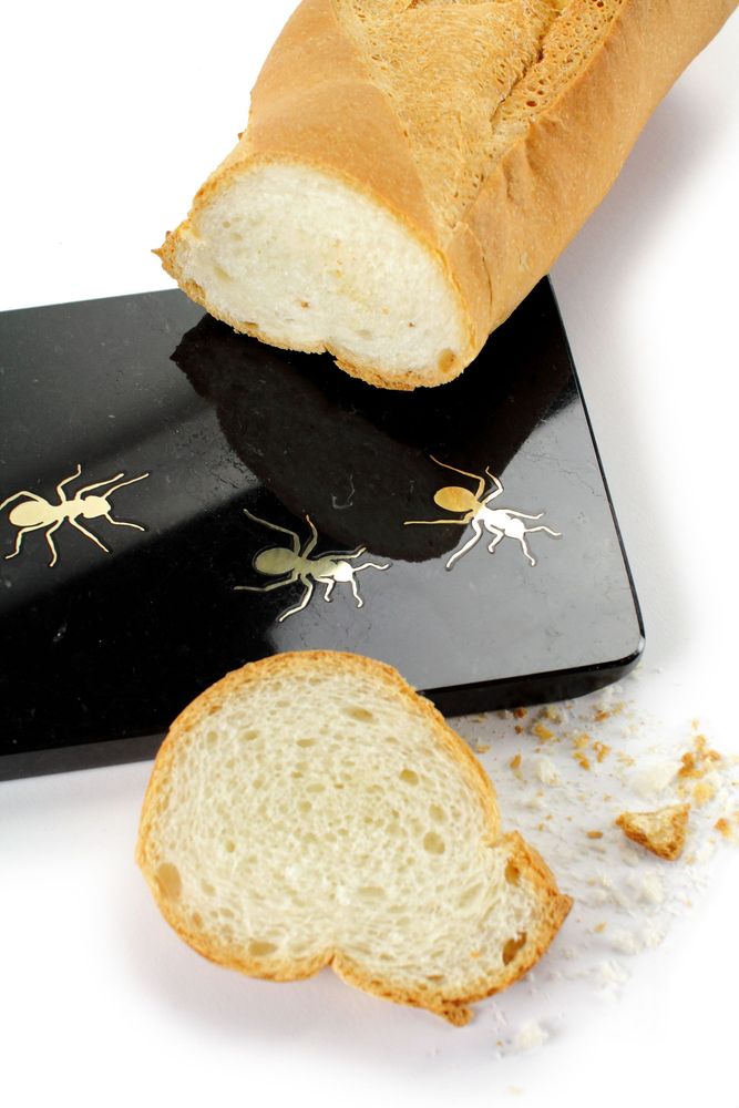 Platter and bowls - Ants on Marquina - medium centerpiece / serving plate in marble - ATELIER BARBERINI & GUNNELL