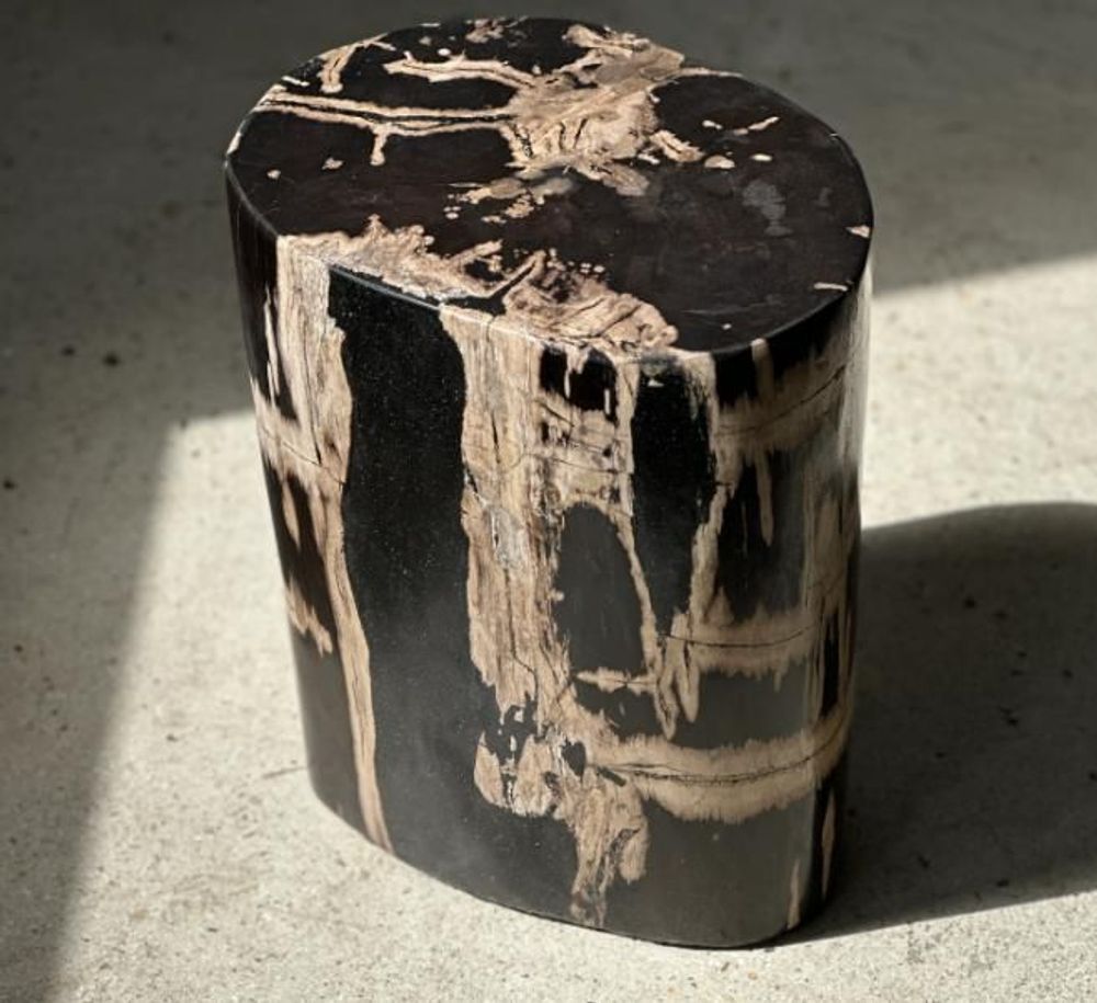 Coffee tables - Petrified wood side table, pedestal table or side furniture - OFFICE OBJETS