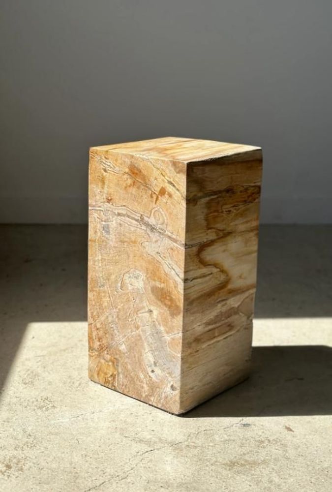 Coffee tables - Petrified wood side table, pedestal table or side furniture - OFFICE OBJETS