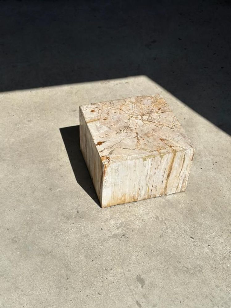 Coffee tables - Petrified wood side table, pedestal table or side furniture - OFFICE OBJETS