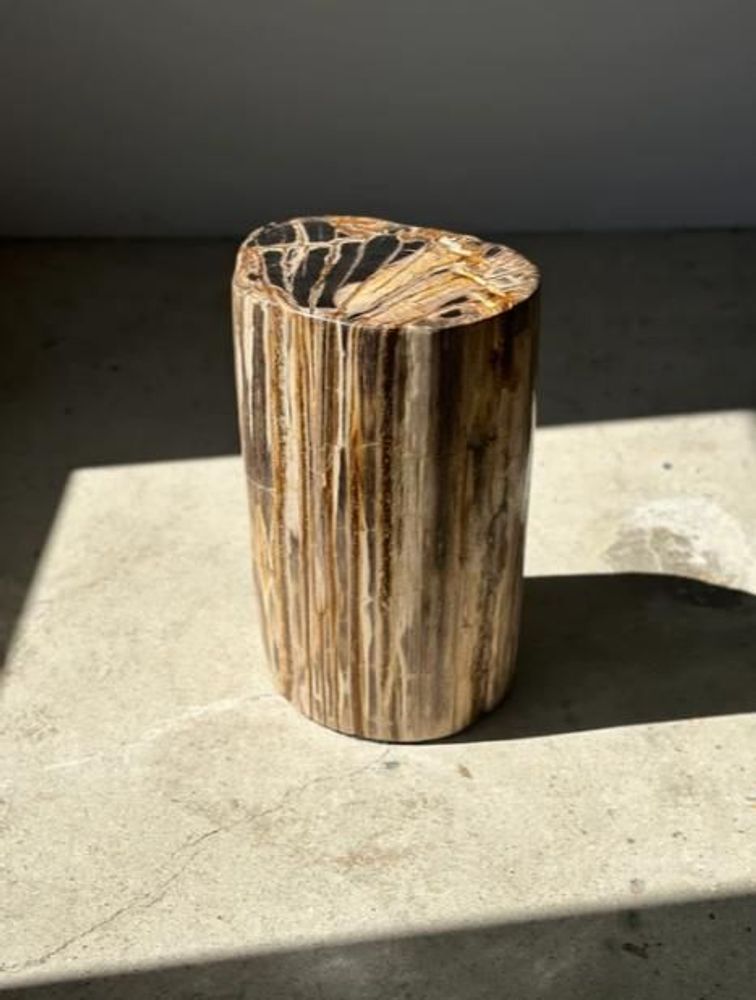 Coffee tables - Petrified wood side table, pedestal table or side furniture - OFFICE OBJETS