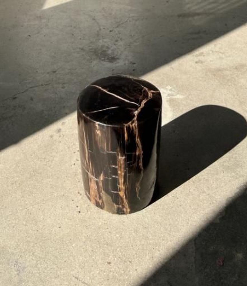 Coffee tables - Petrified wood side table, pedestal table or side furniture - OFFICE OBJETS