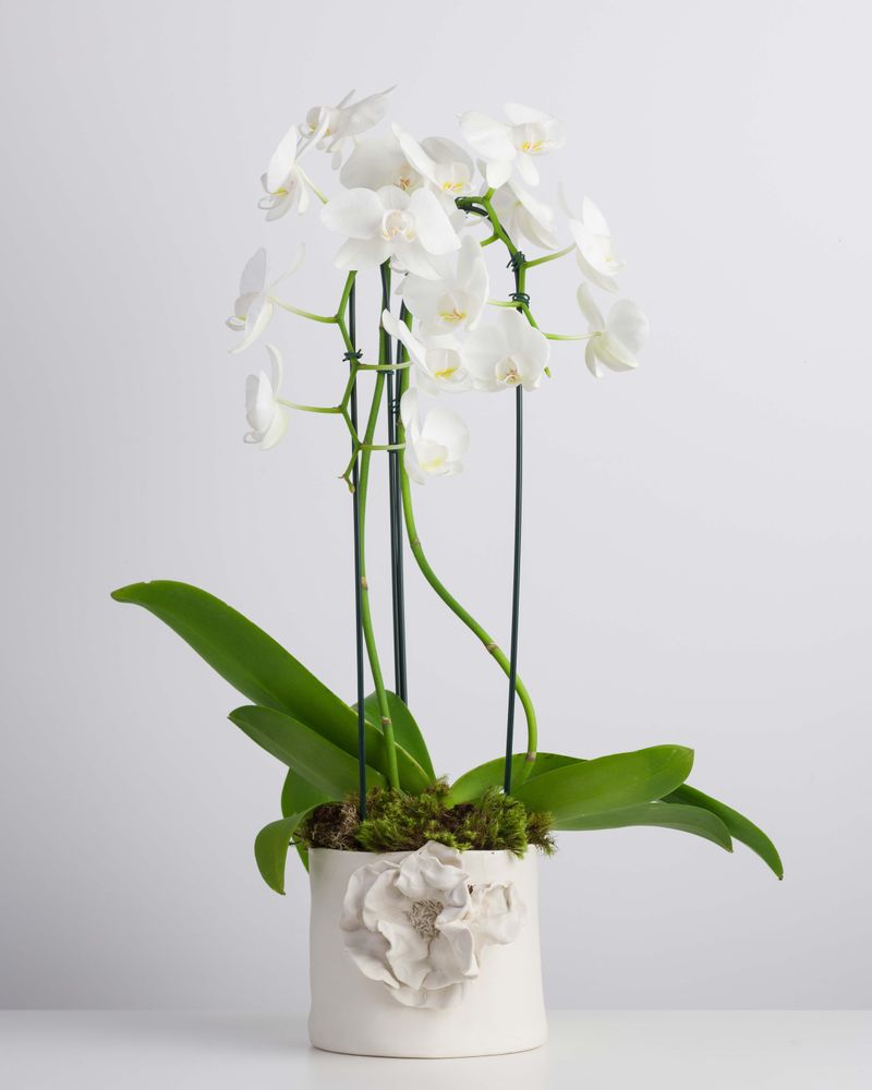 Vases - Série Giverny - ATELIER LE MOTIF