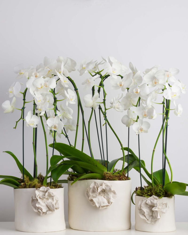 Vases - Série Giverny - ATELIER LE MOTIF