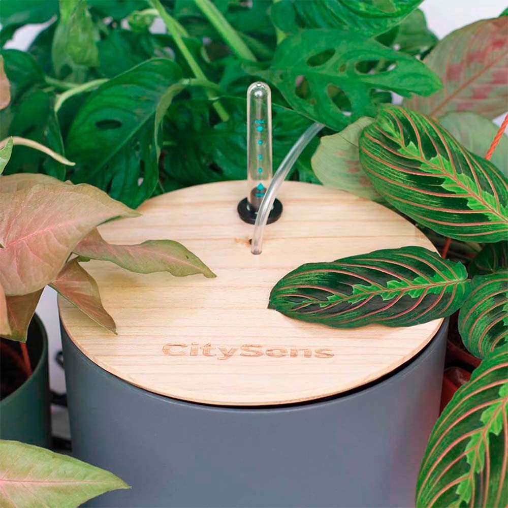 Office furniture and storage - Smart Drip Irrigation System - CITYSENS